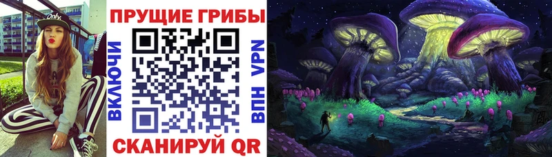 Галлюциногенные грибы Psilocybe  купить наркотики цена  ОМГ ОМГ ТОР  Вихоревка 